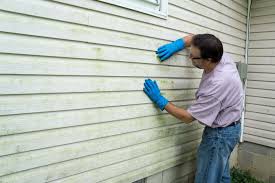 Affordable Siding Repair and Maintenance Services in Warson Woods, MO